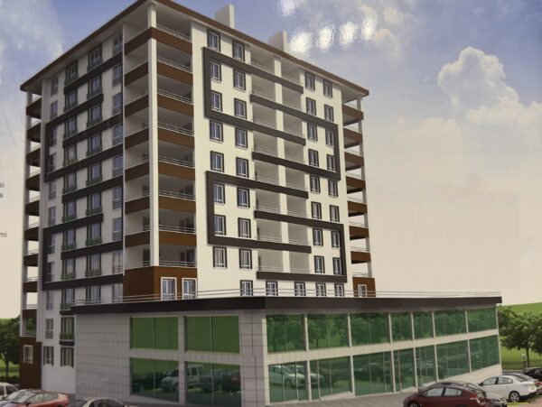 IMG_1834-TPZ-denoise