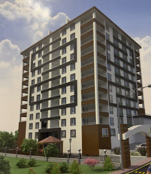 IMG_1835-TPZ-denoise