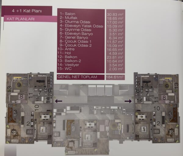 IMG_1879-TPZ-denoise-enhance-1x