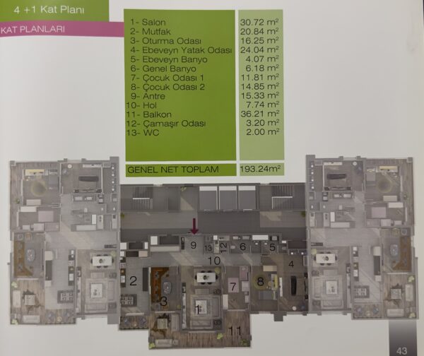 IMG_1880-TPZ-denoise-enhance-1x